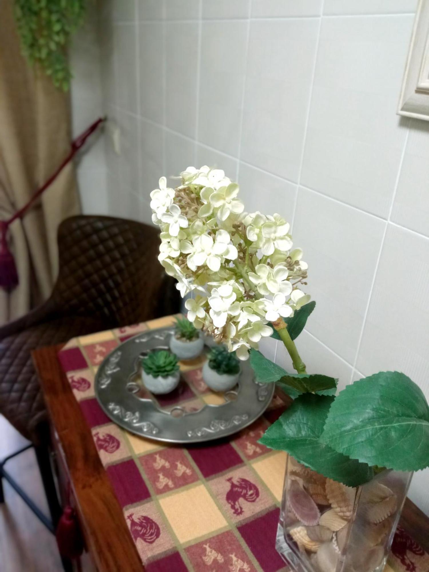 Casa De Nina Apartment กอร์โดบา ภายนอก รูปภาพ